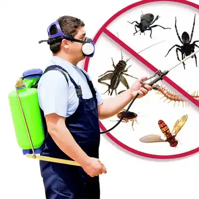 pest control Berwick